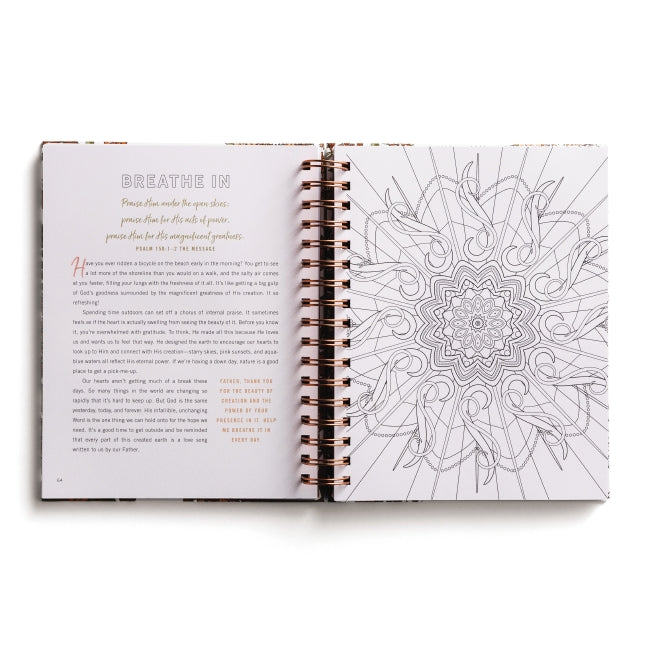Set Your Mind on Things Above: Devotional Adult Coloring Book (75 Daily Devotions and Coloring Pages to Steady Your Soul) – The Perfect Gift for Christian Women