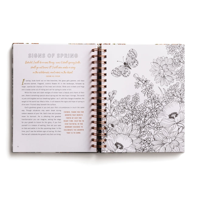 Set Your Mind on Things Above: Devotional Adult Coloring Book (75 Daily Devotions and Coloring Pages to Steady Your Soul) – The Perfect Gift for Christian Women