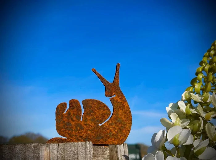 Snail Wall Art