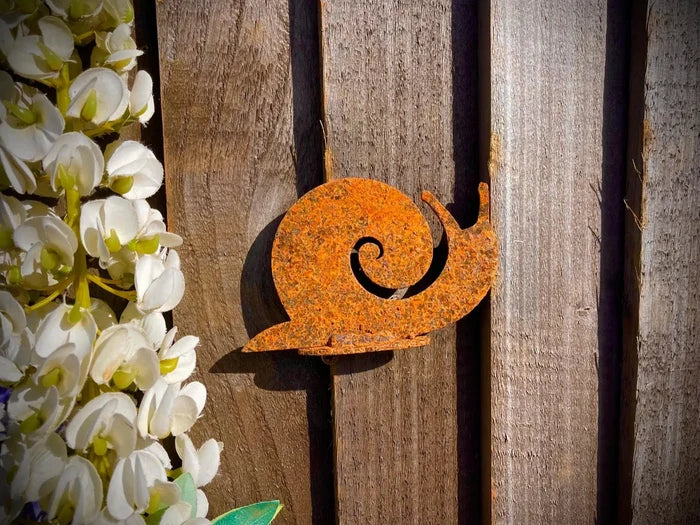 Snail Wall Art
