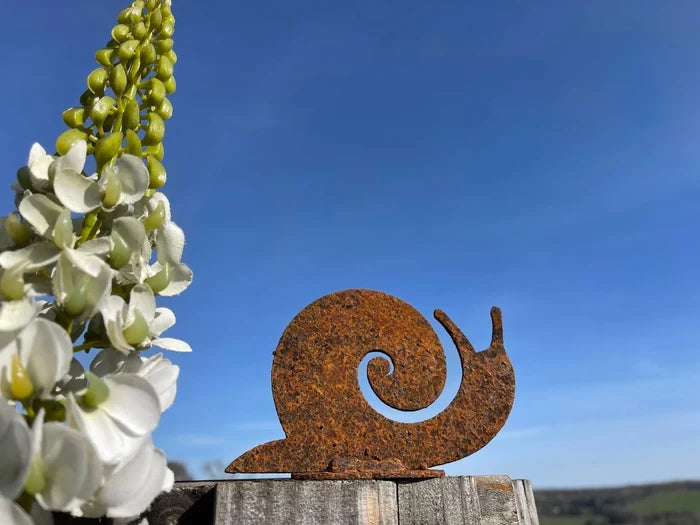 Snail Wall Art