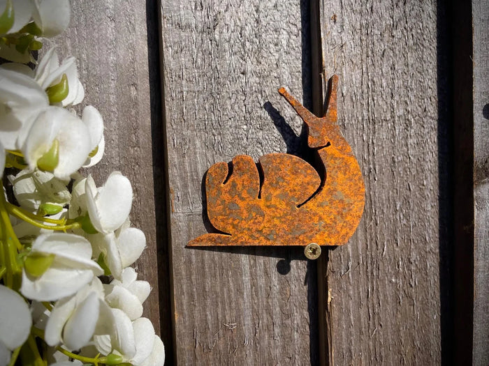 Snail Wall Art