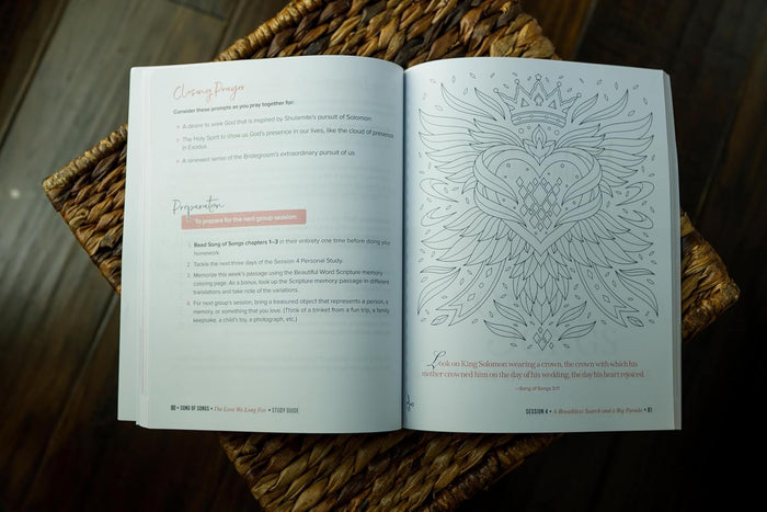 Song of Songs Bible Study Guide plus Streaming Video: The Love We Long For