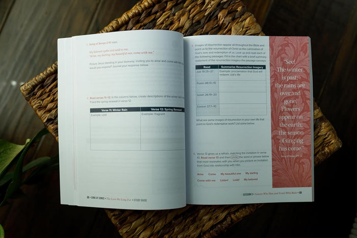 Song of Songs Bible Study Guide plus Streaming Video: The Love We Long For