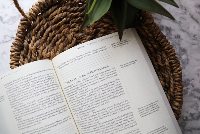 Ten Men of The Bible + Ten Women of The Bible Study Guide Bundle