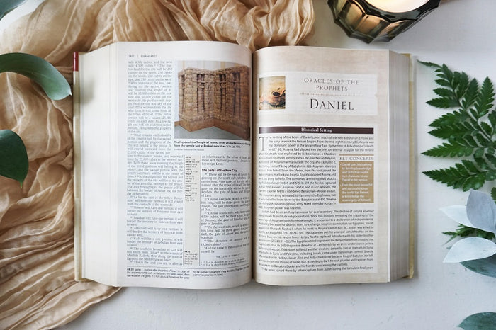 The God of the How and When Study Guide + Book + Bible Bundle