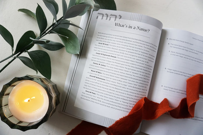 The God of the How and When Study Guide + Book Bundle