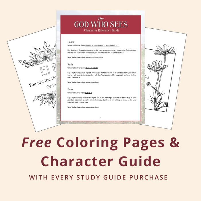 The God Who Sees Study Guide + Book Bundle