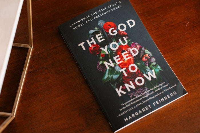 The God You Need to Know: Experience the Holy Spirit's Power and Presence Today