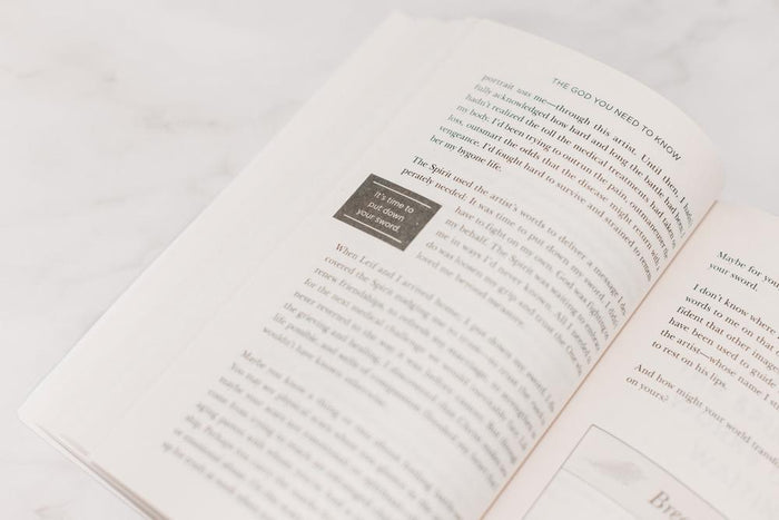 The God You Need to Know Study Guide + Book + Bible Premium Bundle