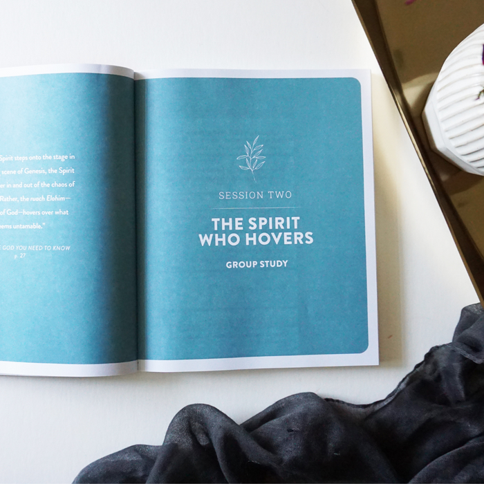 The God You Need to Know Study Guide plus Streaming Video: 12 Practices to Awaken Your Relationship with the Holy Spirit