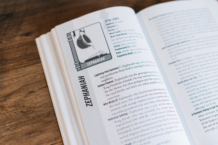 The Lightning-Fast Field Guide to the Bible: Your Compact Companion for Exploring the Best Book Ever