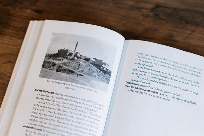 The Lightning-Fast Field Guide to the Bible: Your Compact Companion for Exploring the Best Book Ever