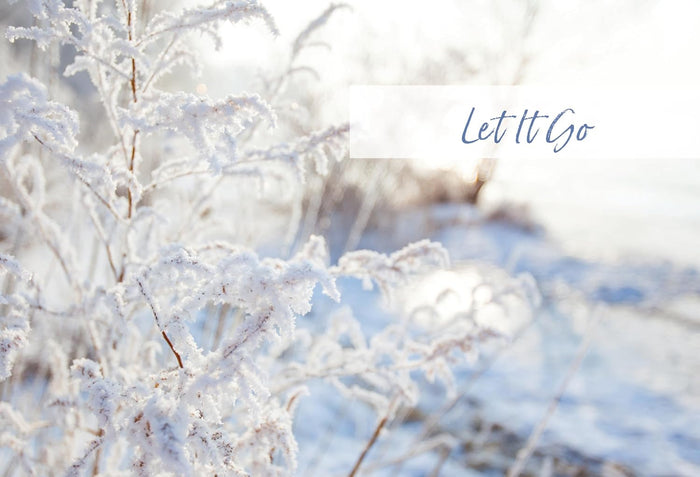The Stress Less Devotional: 100 Days to Embrace Rest and Rejuvenate Your Soul