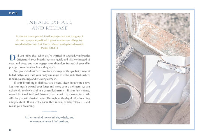 The Stress Less Devotional: 100 Days to Embrace Rest and Rejuvenate Your Soul
