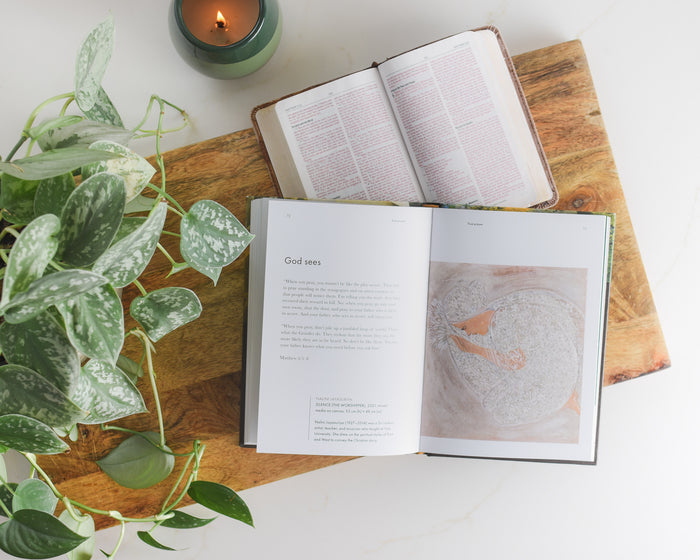 The Wisdom of Jesus: Meditations on the Gospels in Words and Paintings (A 25-Day Devotional)