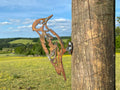 Woodepecker Fence Topper
